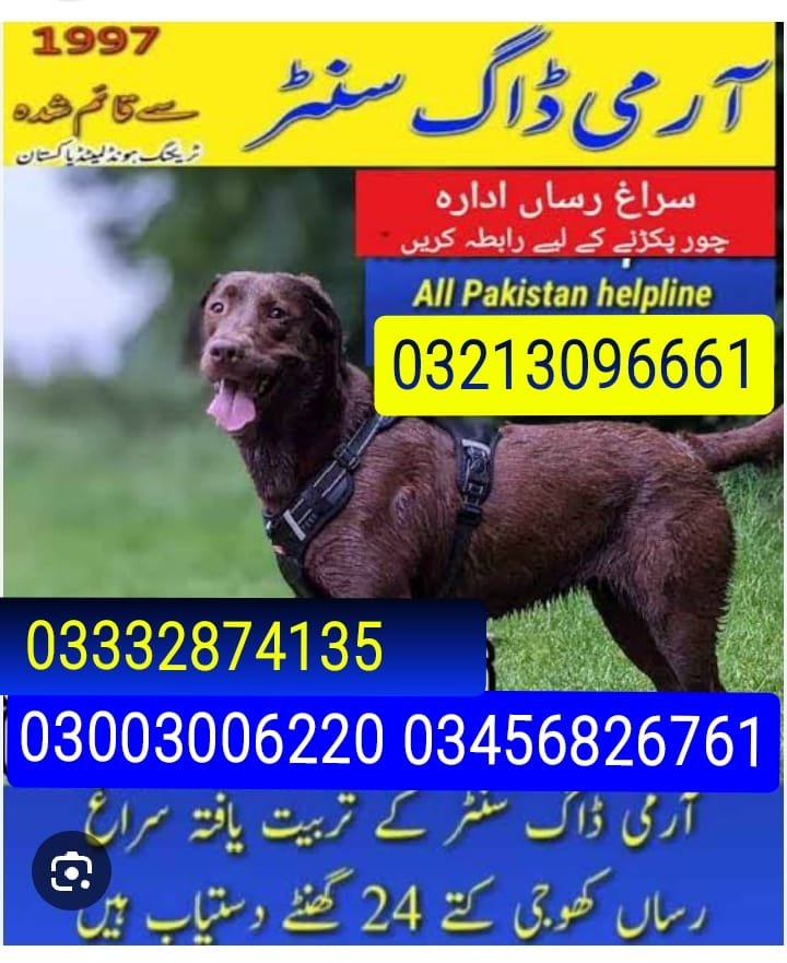 Army Dog Center  | Pakistan   | 03332874135 | 24/7