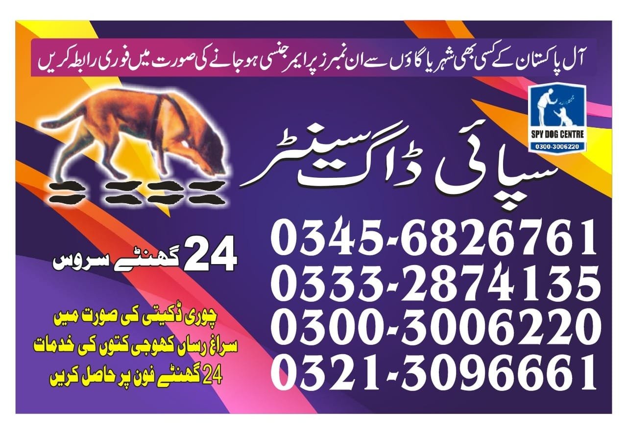 Army Dog Center.  l  hyderabad   | Pakistan | 24/7 | 03332874135