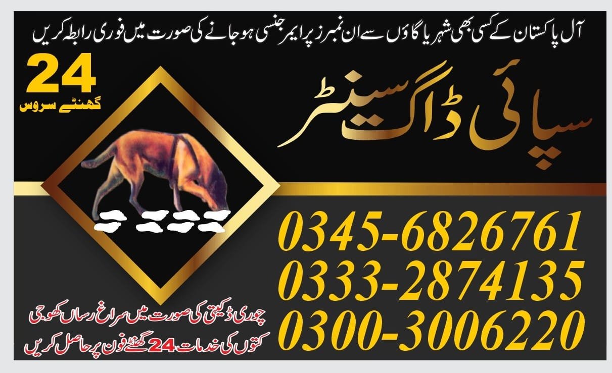 Army Dog Center.  l    Shahdadpur | Pakistan | 24/7 | 03332874135