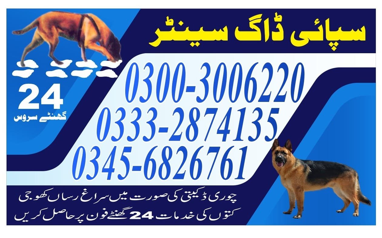 Army Dog Center |    Daharki    | 24/7 | 03332874135