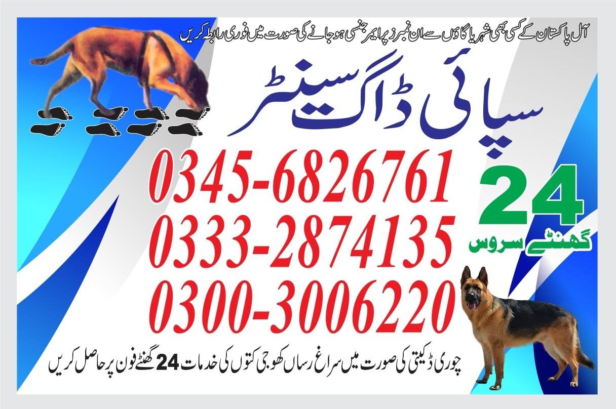 Army Dog Center  (   badin )03003406220 [24/7]