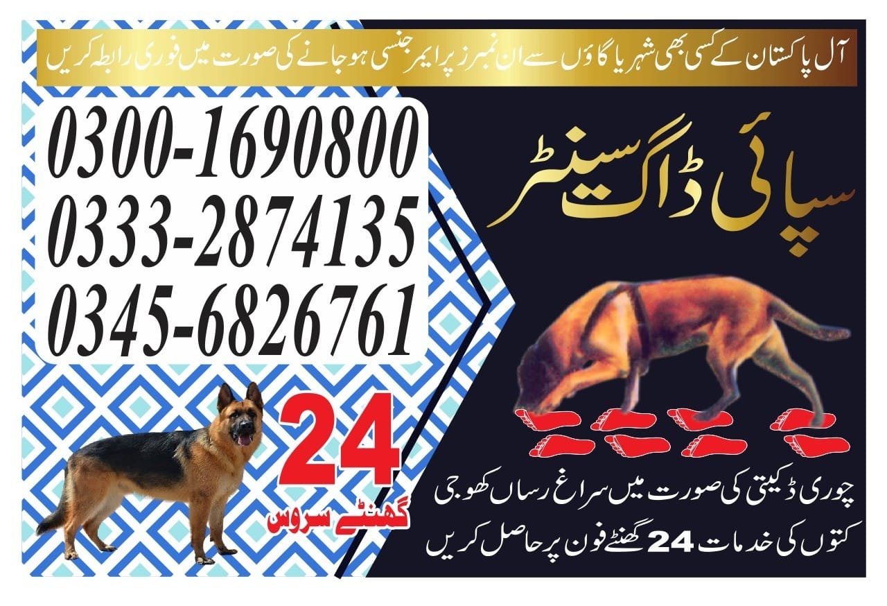 Army Dog Center.  l   thatta  | Pakistan | 24/7 | 03332874135