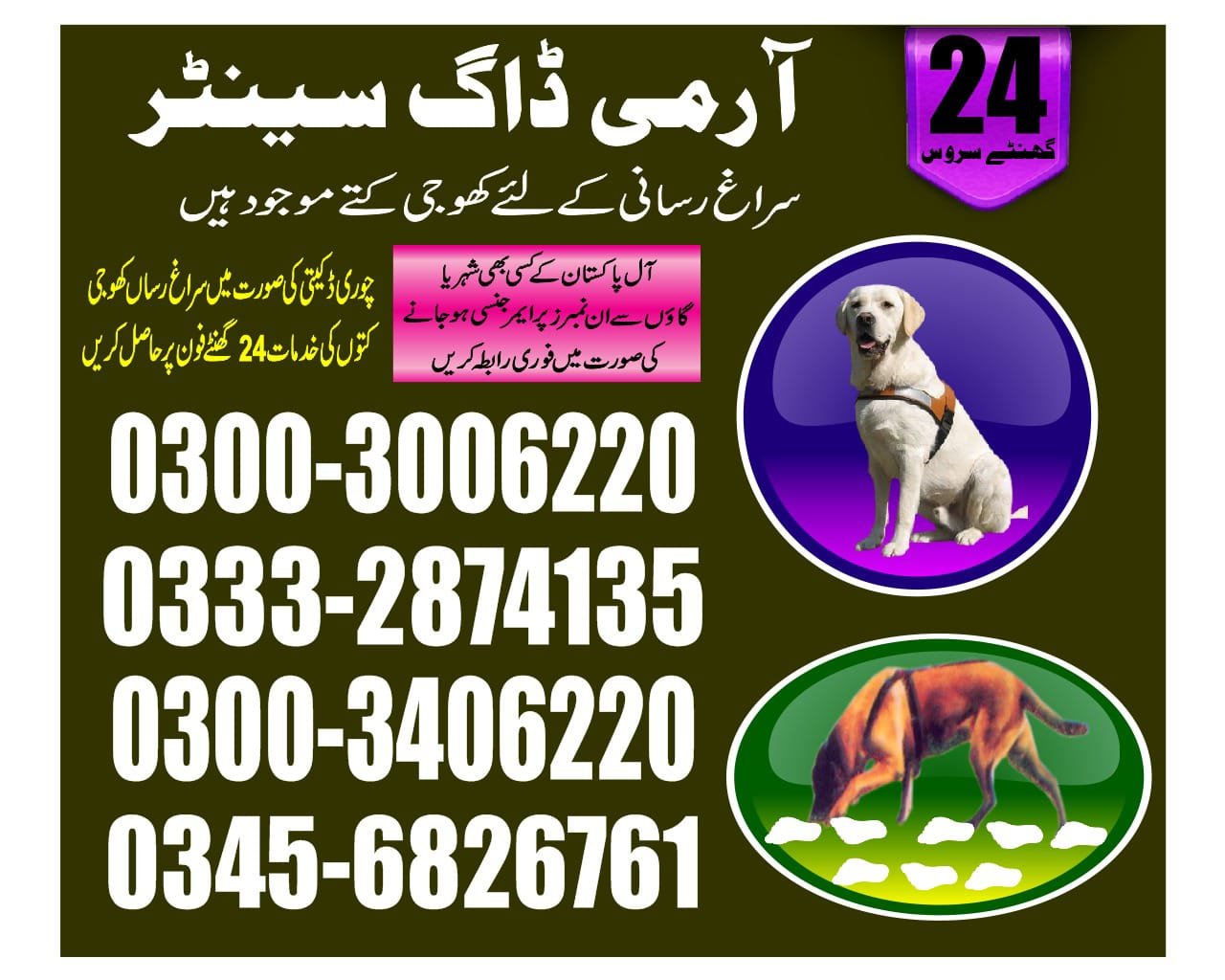 Army Dog Center ( Tando Allahyar    ) 03332874135 [24/7]
