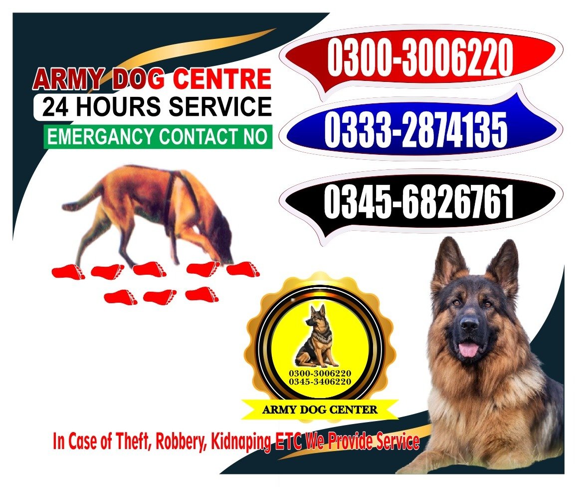 Army Dog Center ll.     Thattall03332874135 (24/7)