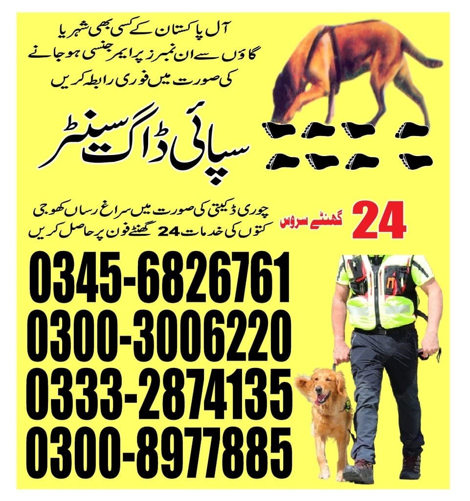 Army Dog Center |     Wazirabad   | 24/7 | 03332874135
