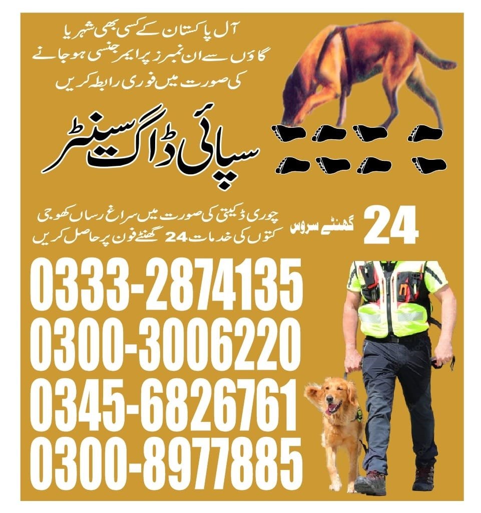 Army Dog Center  |  islamkot  | 03332874135 | 24/7