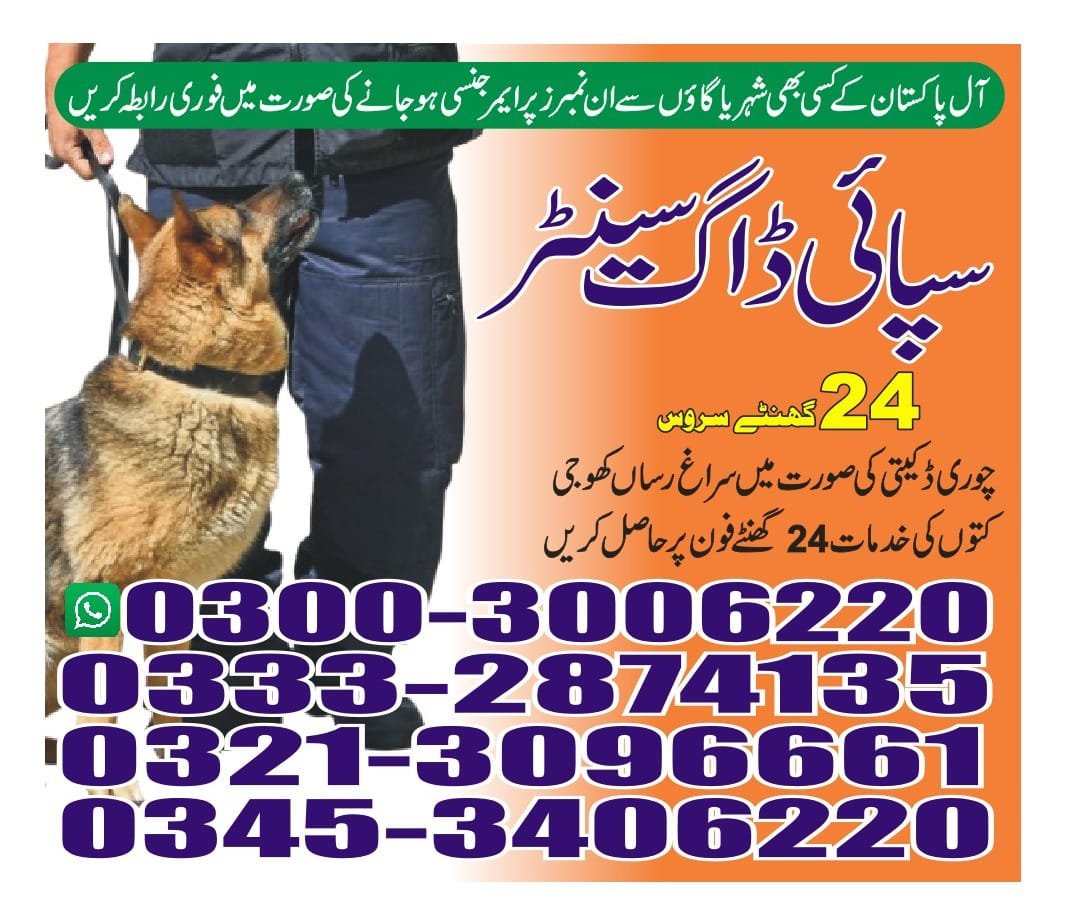 Army Dog Center  (karachi    )03003406220 [24/7]