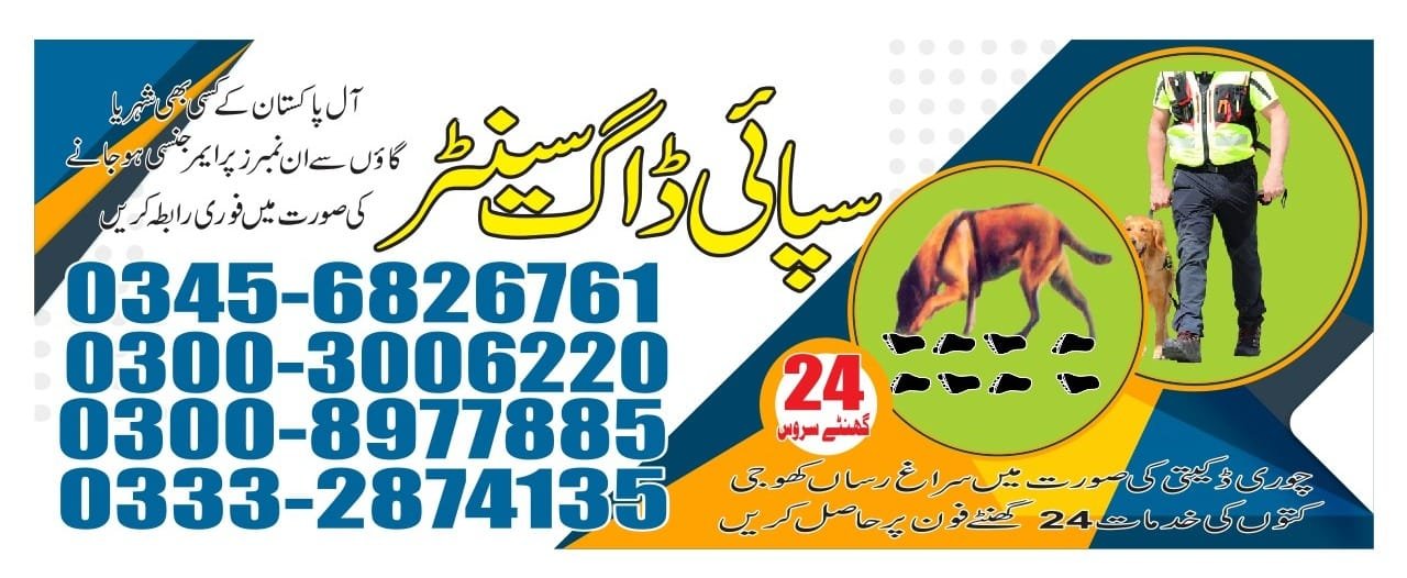 Army Dog Center  |   thatta | 03332874135 | 24/7