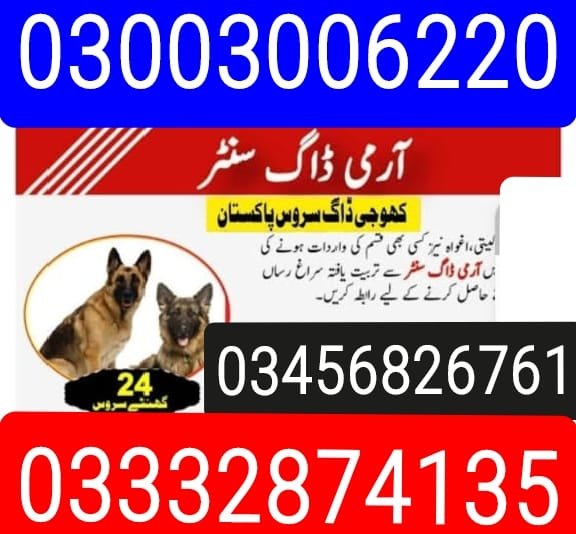 Army Dog Center |      Gujar khan  | 24/7 | 03332874135