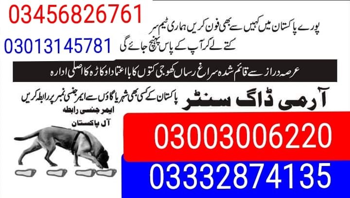 Army Dog Center |    Rawalpindi    | 24/7 | 03332874135