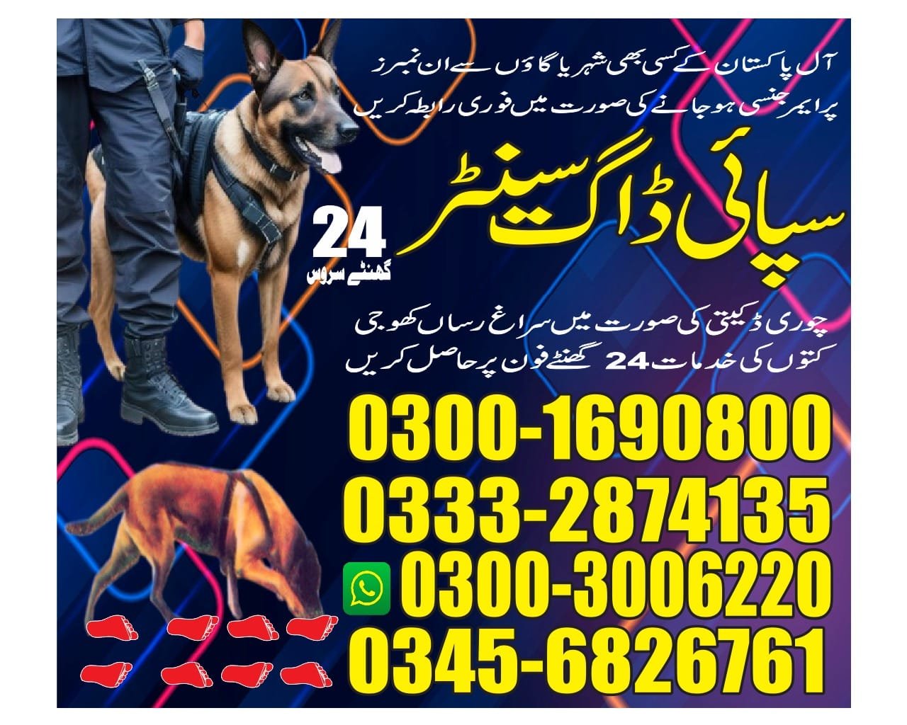 The best genration of dogs : 03332874135