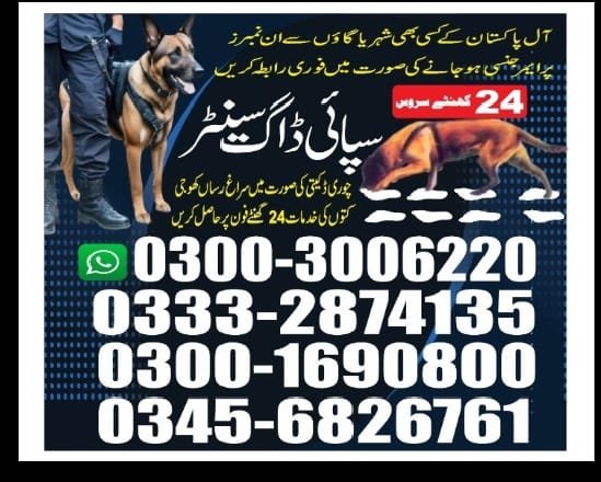 ARMY DOG CENTER | Khuzdar | 03332874135