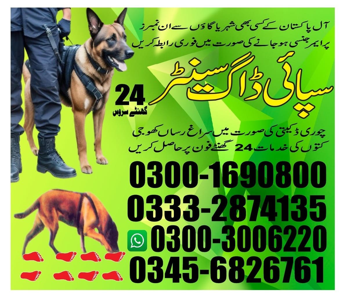ARMY DOG CENTER | Gawdar | 03332874135