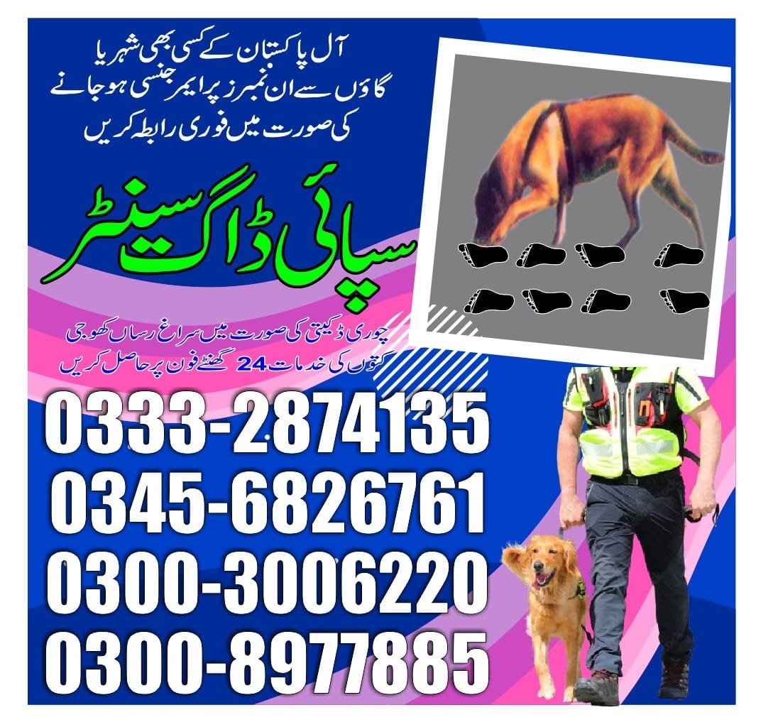 ARMY DOG CENTER |  chor cantt | 03332874135
