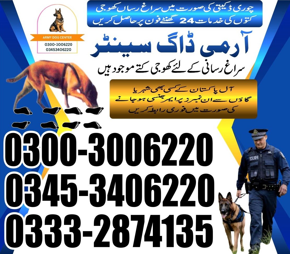 Most Expensive dogs in pakistan: 03332874135