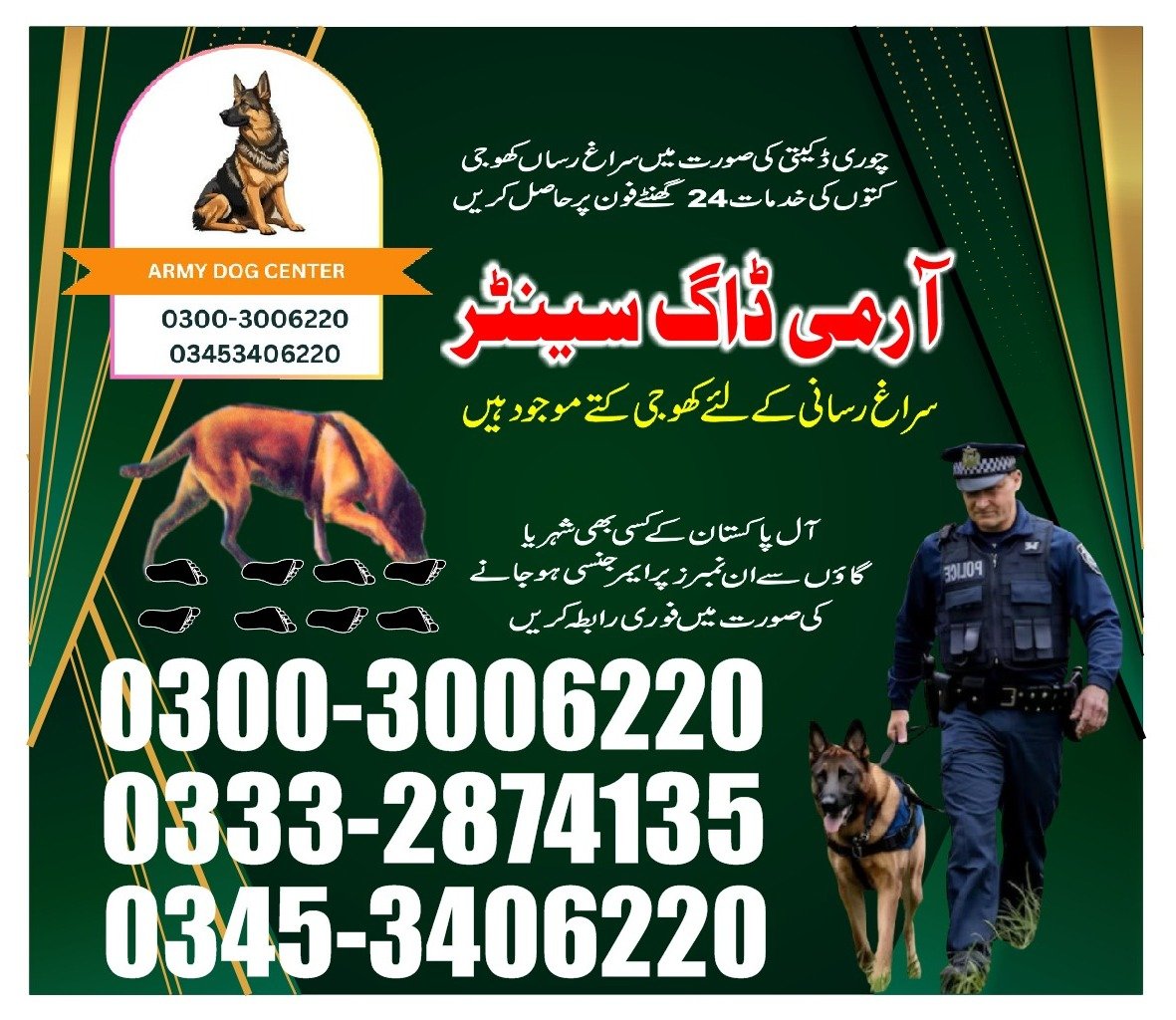 Is that true that owner can spent more time with dog for there loyalty: 03332874135
