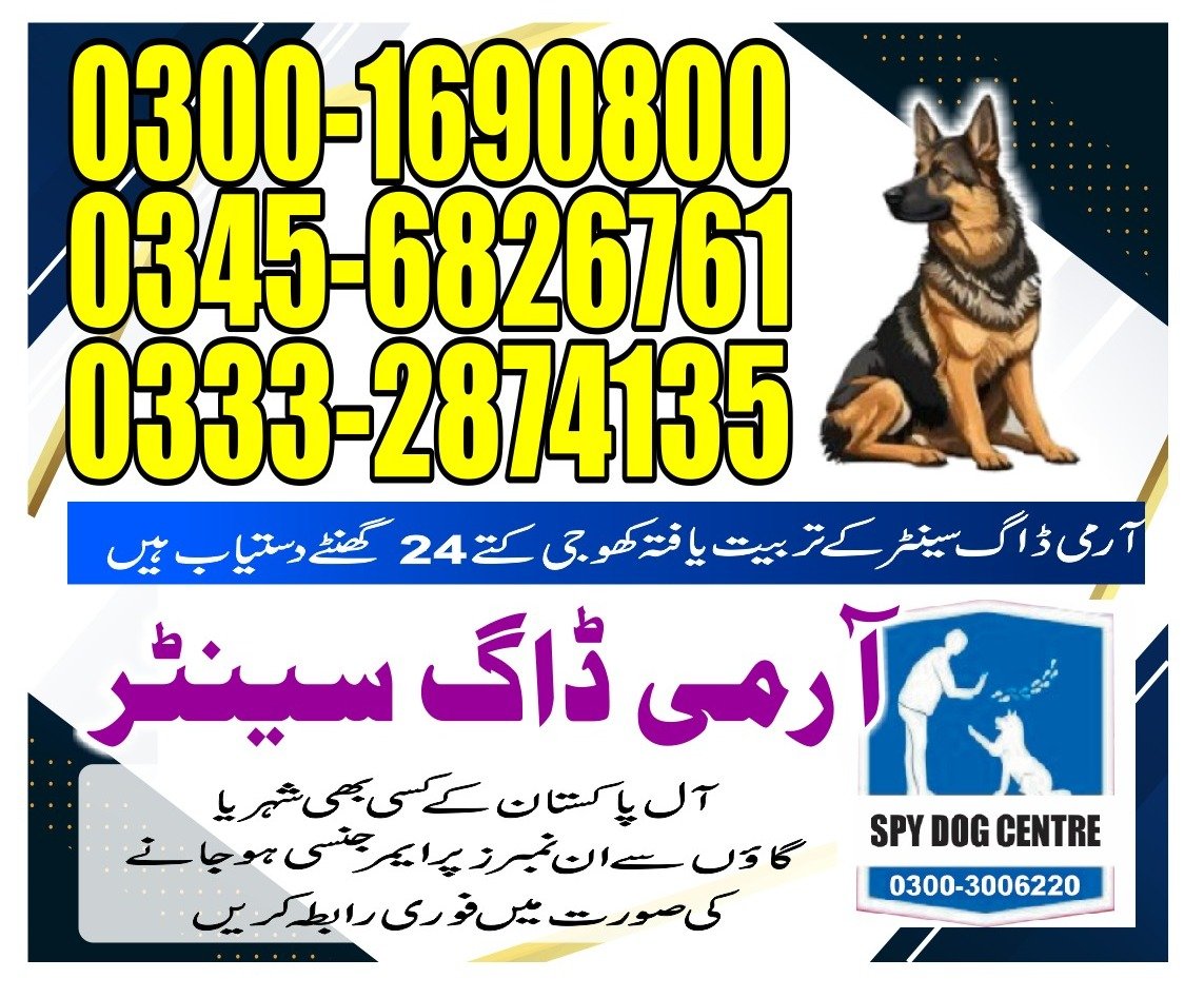 Nutrition and Diet: What dogs need to stay healthy and foods they should avoid.03332874135