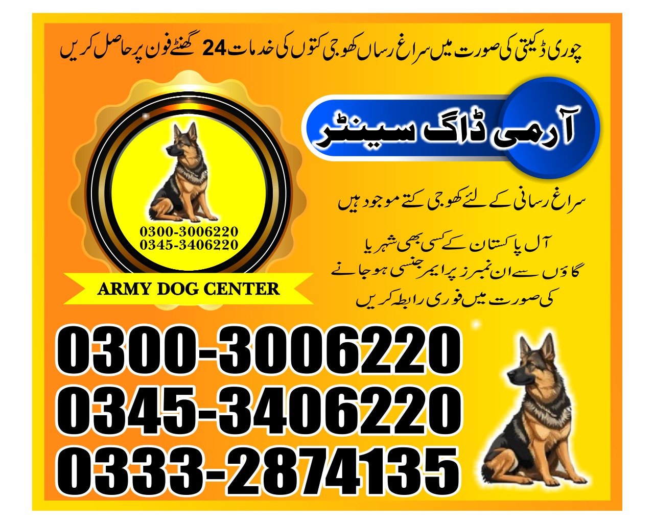 Dogs & Human Health Benefits  Reduce stress and anxiety, lowering blood pressure.  Help people with PTSD, depression, and autism as therapy animals.  Encourage exercise and social interaction.03332874135
