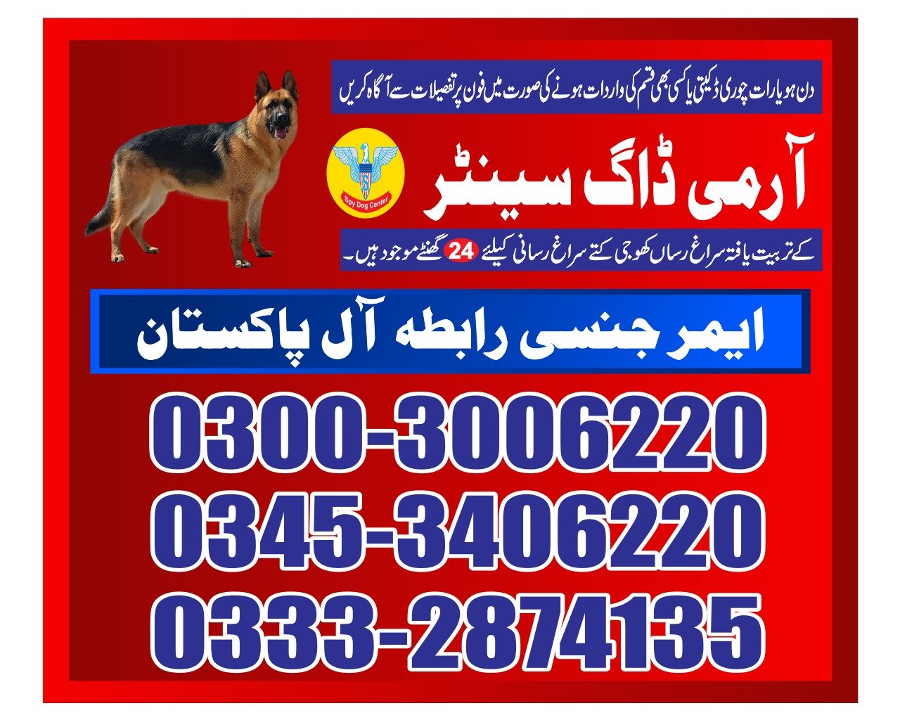 ARMY DOG CENTER | Qilla Abdullah | 03332874135