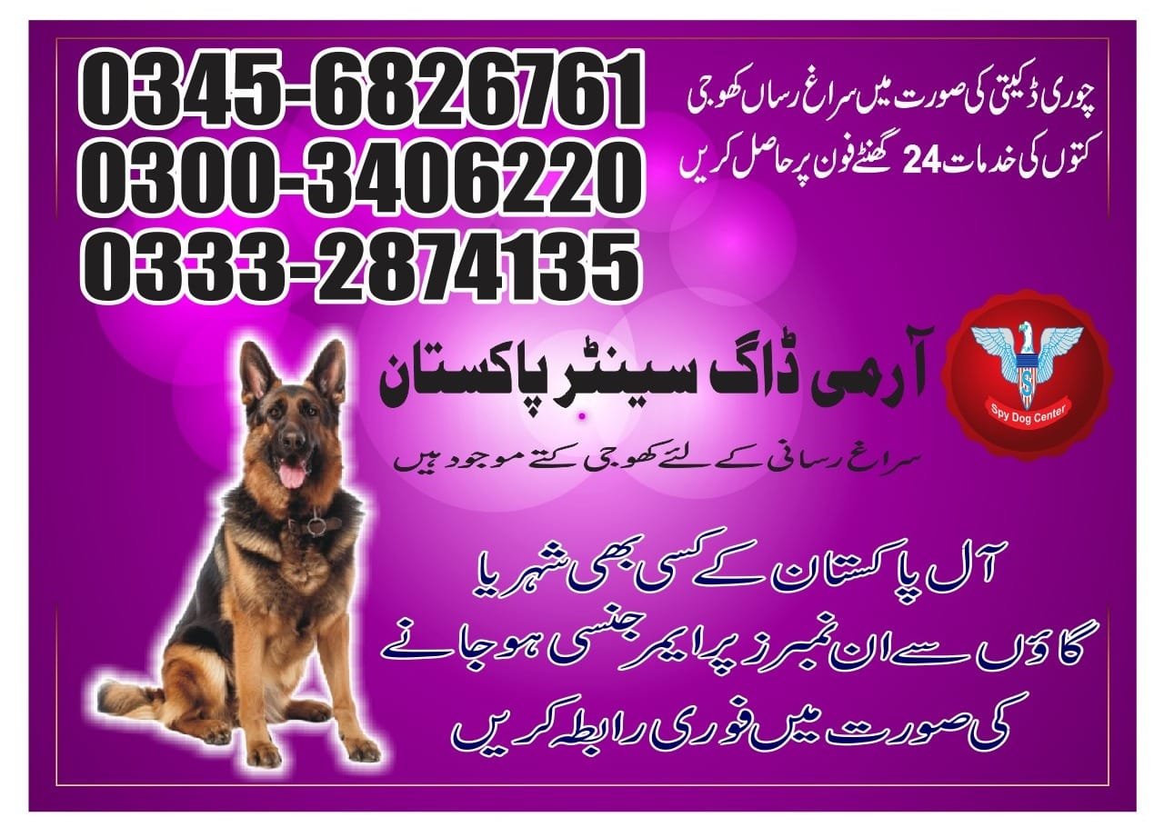 ARMY DOG CENTER | Sukher | 03332874135