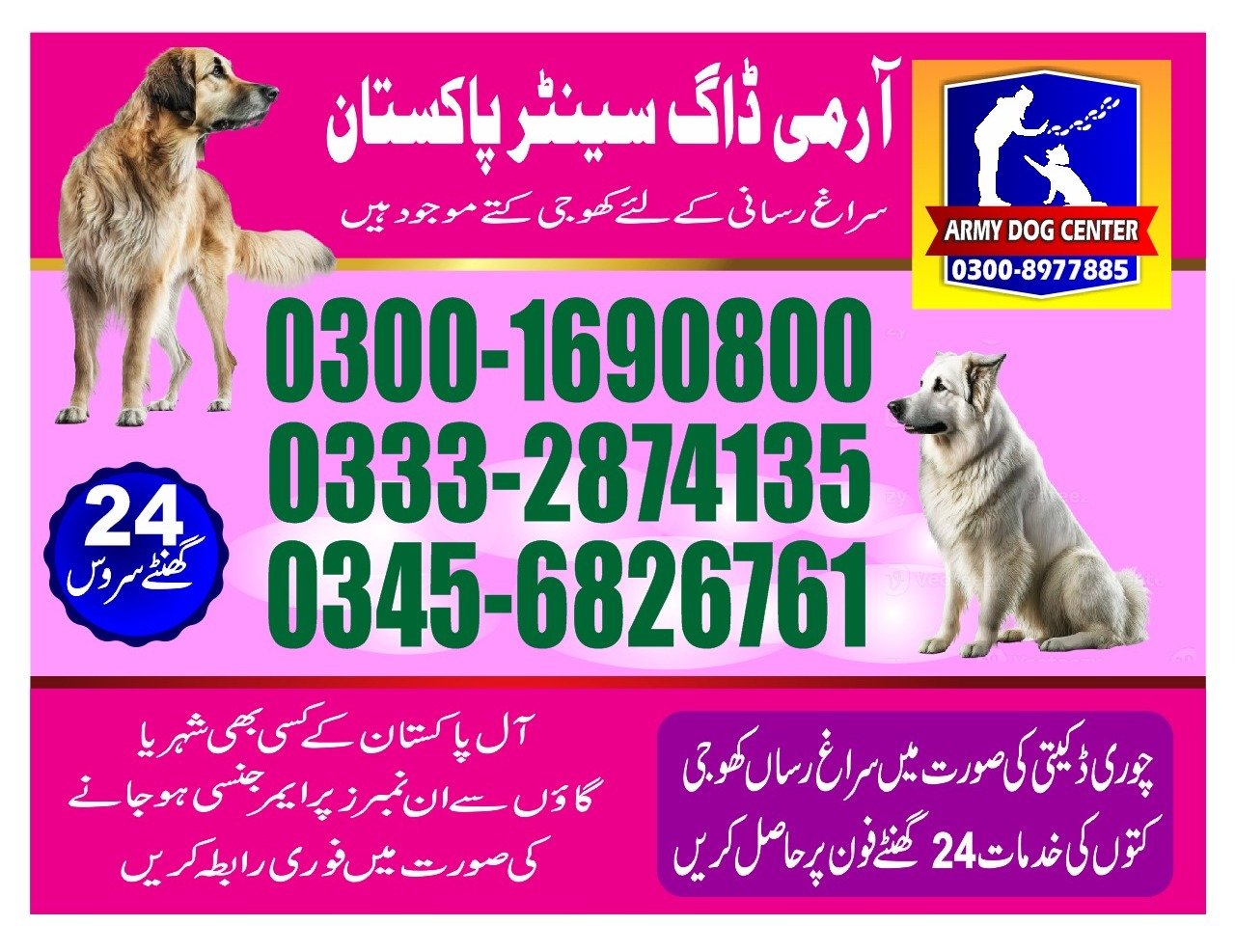 ARMY DOG CENTER | sialkot | 03332874135