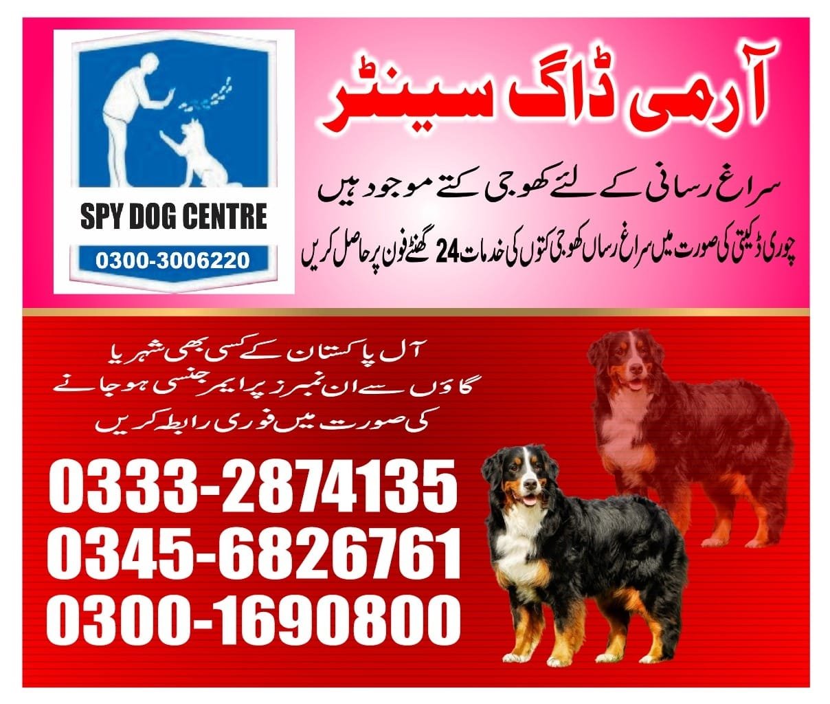 ARMY DOG CENTER | mardan  | 03332874135