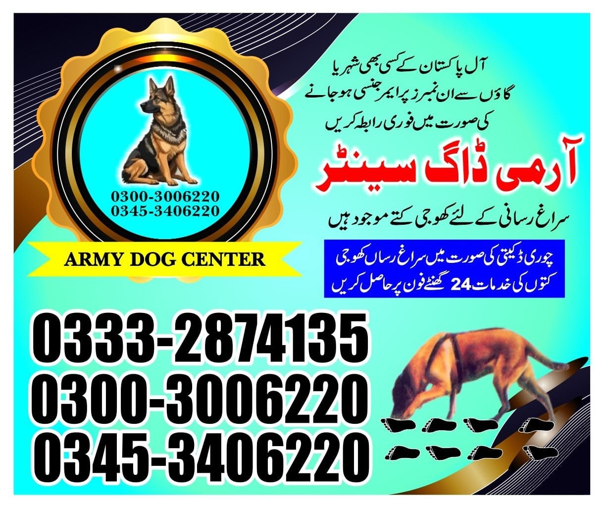 ARMY DOG CENTER |Mirpurkhass  03332874135