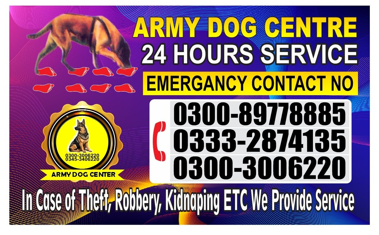 Professional Army Dog Center Abbottabad - Trained German Shepherd for Security Services
