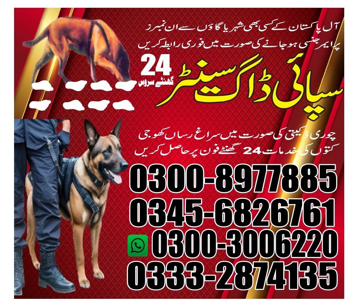 Professional Army Dog Center Army Dog Center - Trained German Shepherd for Security Services