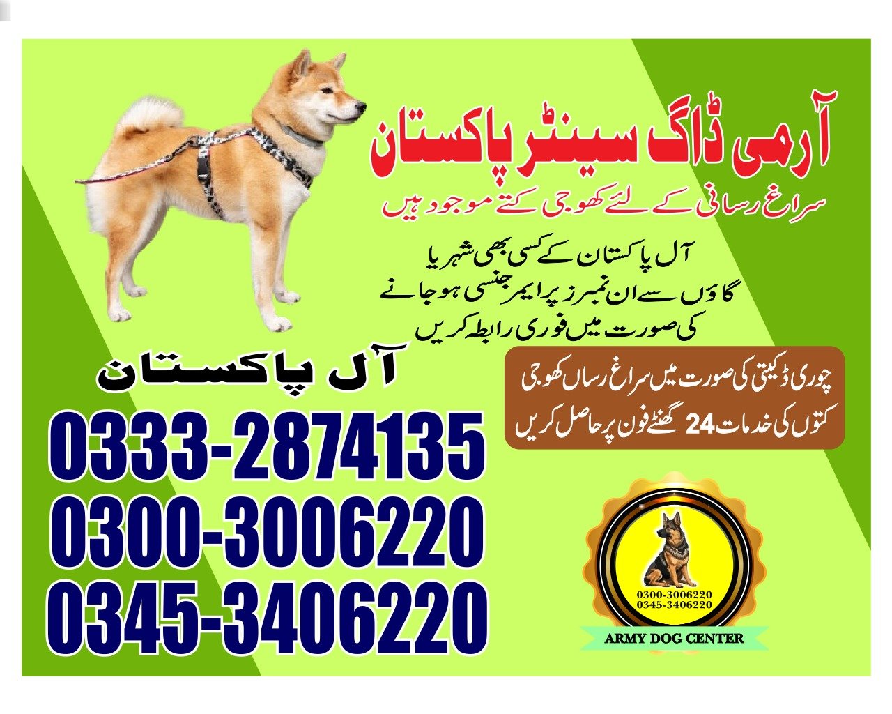 Professional Army Dog Center Batkhela - Trained German Shepherd for Security Services