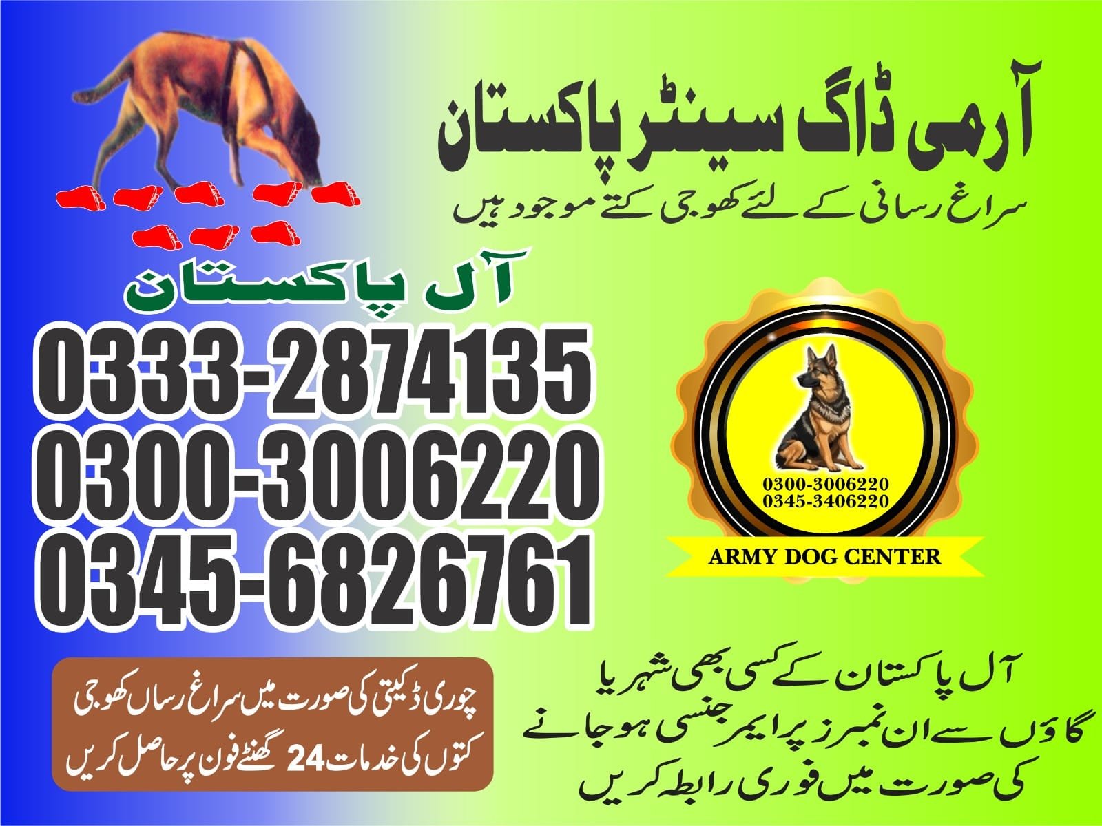 Professional Army Dog Center Bhiria City - Trained German Shepherd for Security Services