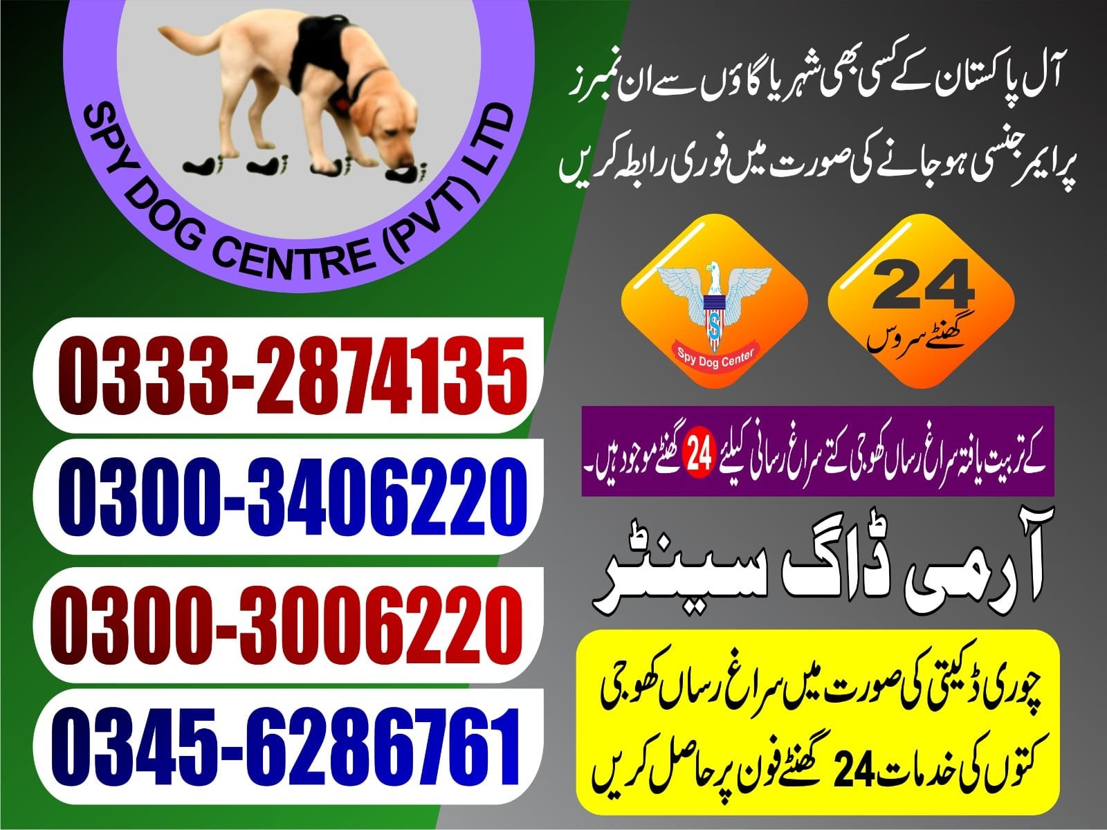 Professional Army Dog Center Chiniot - Trained German Shepherd for Security Services