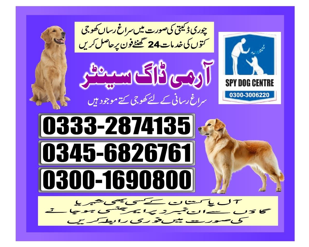 Professional Army Dog Center Ghotki - Trained German Shepherd for Security Services
