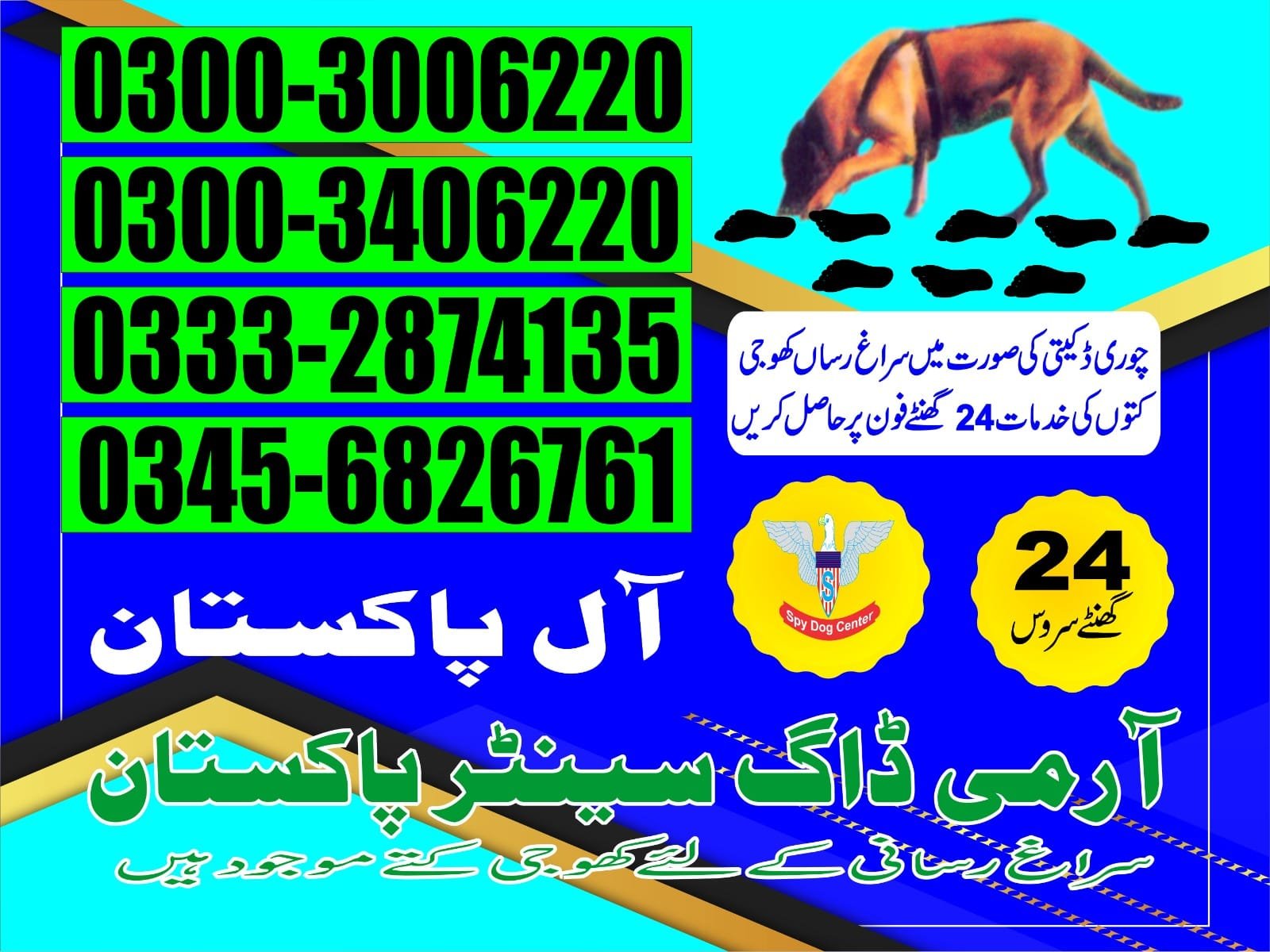 Professional Army Dog Center Jacobabad - Trained German Shepherd for Security Services