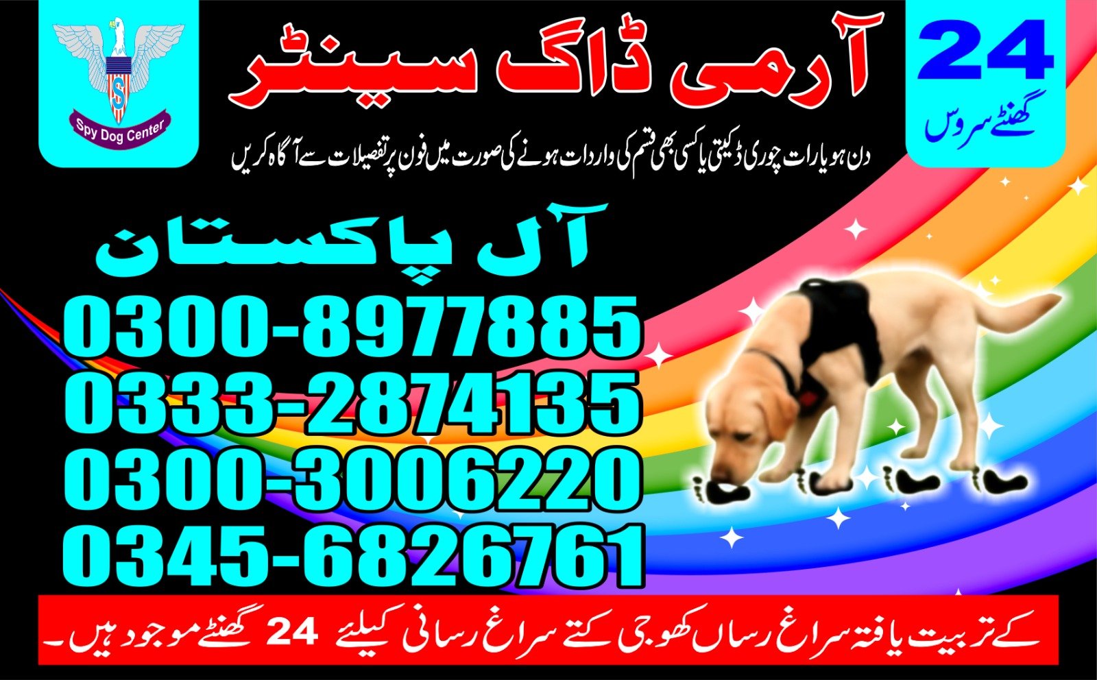 Professional Army Dog Center Jhuddo - Trained German Shepherd for Security Services