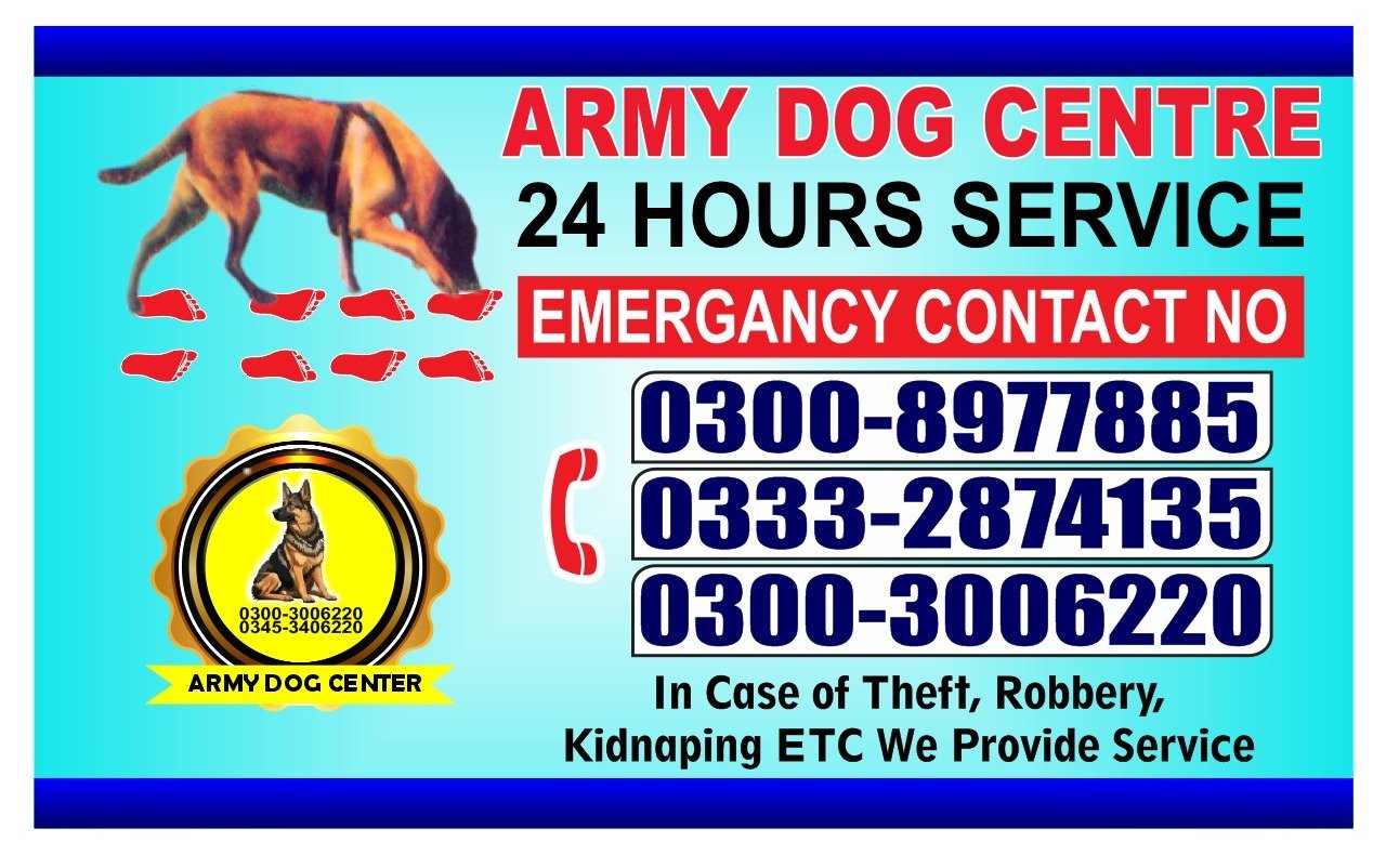 Professional Army Dog Center Kandkot - Trained German Shepherd for Security Services
