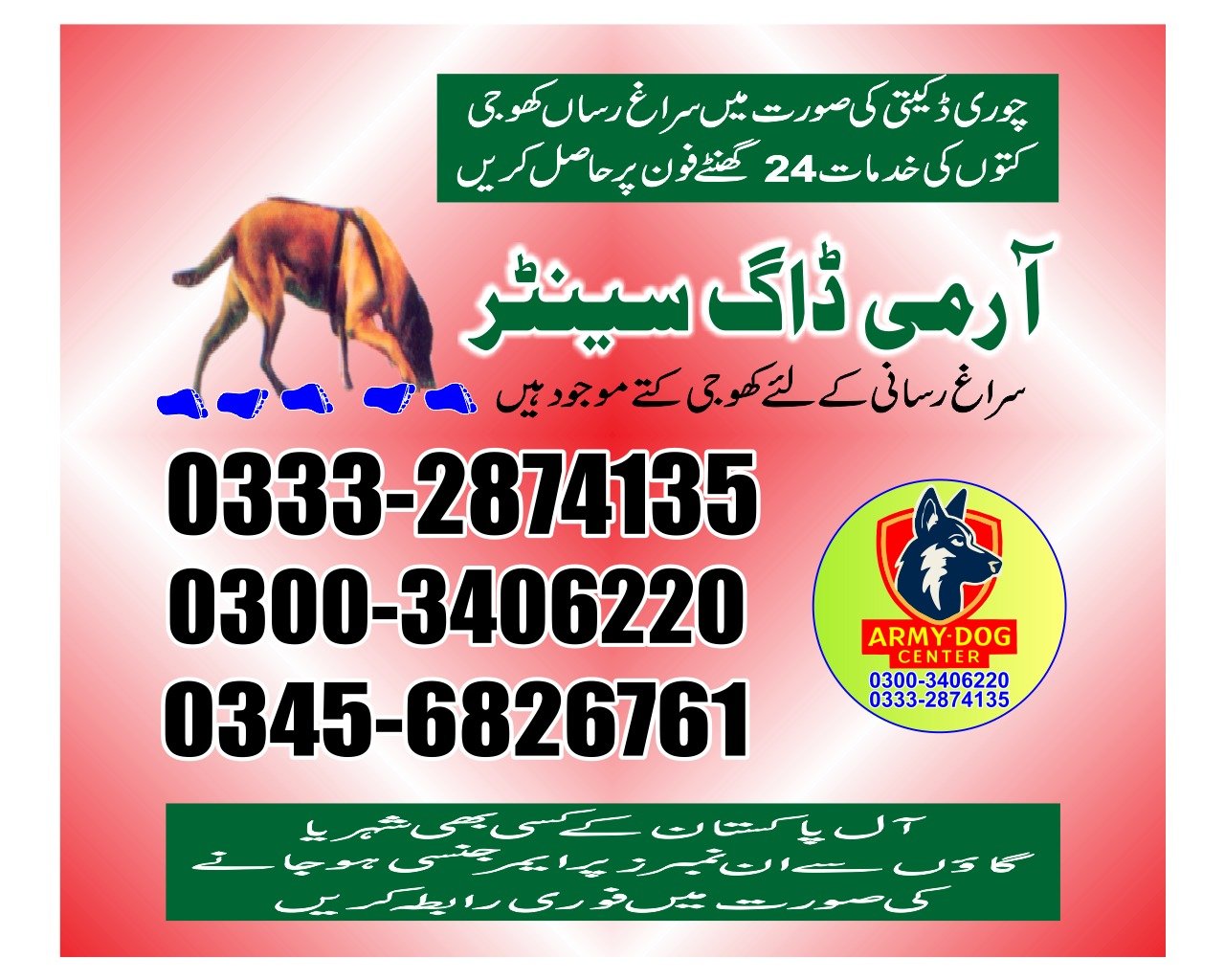 Professional Army Dog Center Kasur - Trained German Shepherd for Security Services