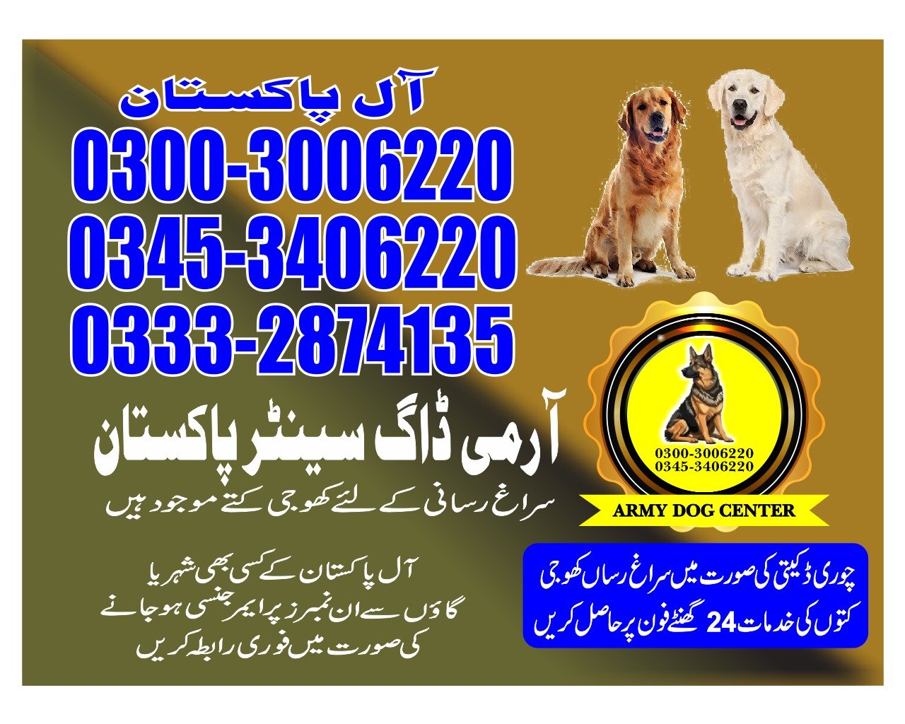 Professional Army Dog Center Lahore - Trained German Shepherd for Security Services