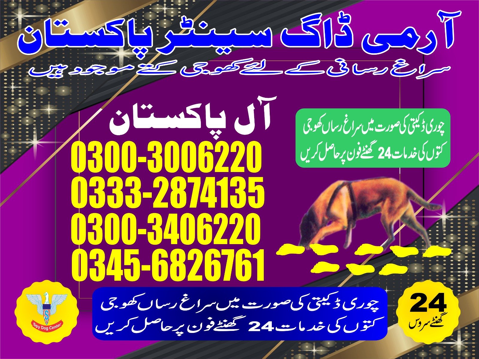 Professional Army Dog Center Mainwali - Trained German Shepherd for Security Services