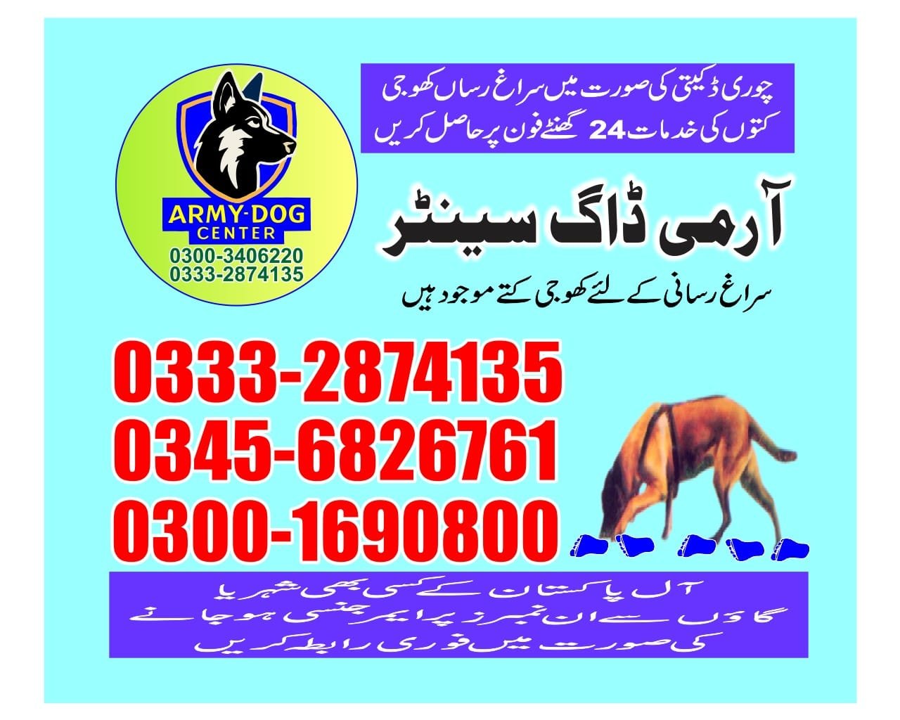 Professional Army Dog Center Malakand - Trained German Shepherd for Security Services