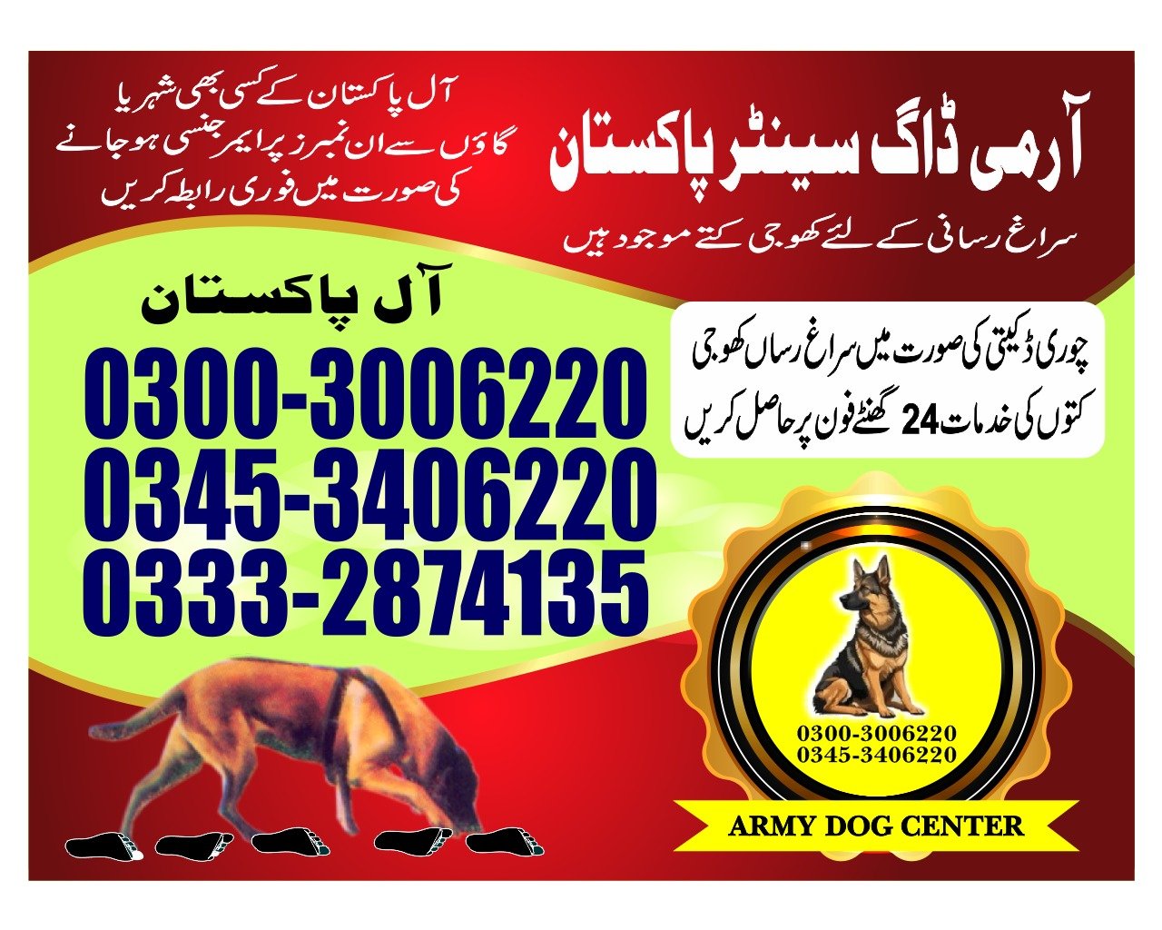 Professional Army Dog Center Mangla - Trained German Shepherd for Security Services