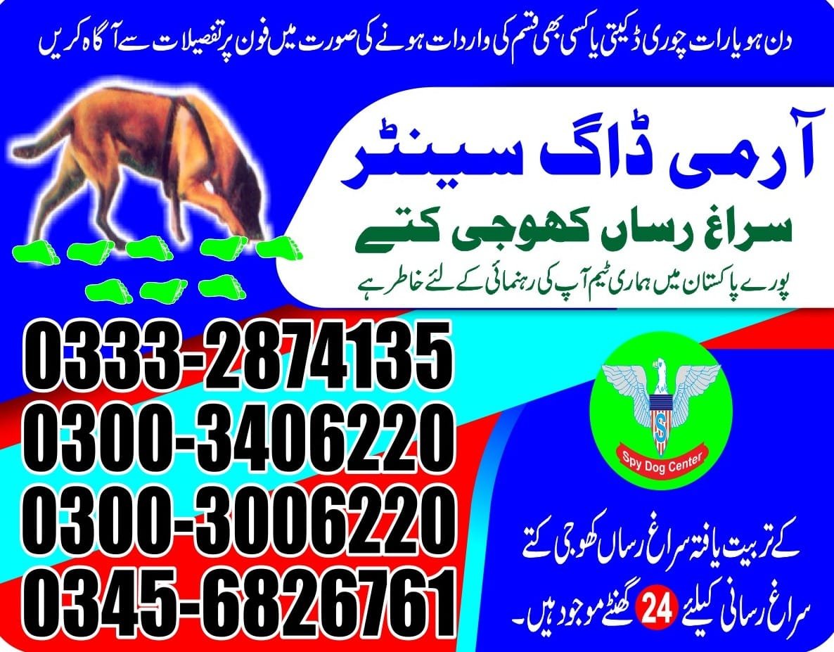 Professional Army Dog Center Mardan - Trained German Shepherd for Security Services