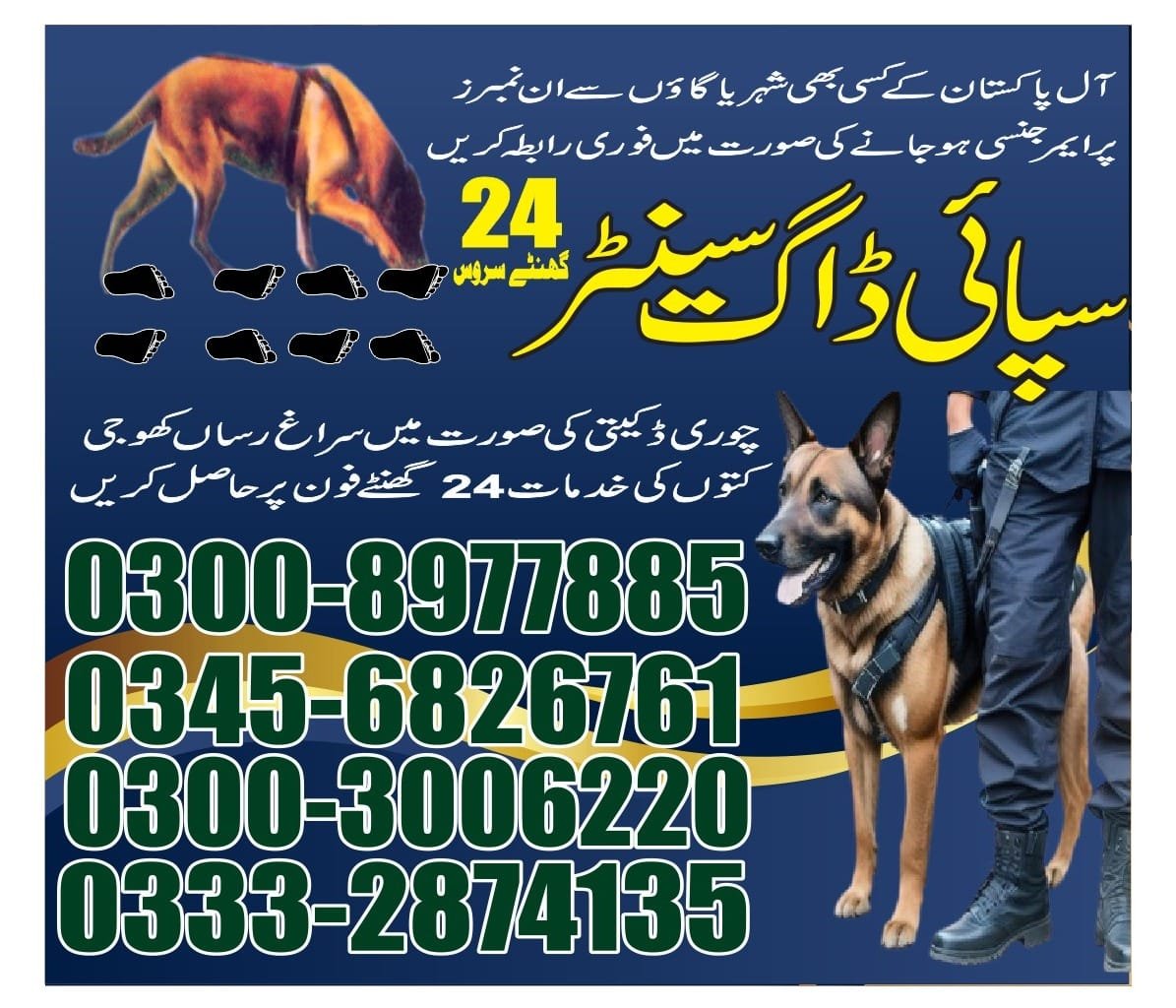 Professional Army Dog Center Matiari - Trained German Shepherd for Security Services