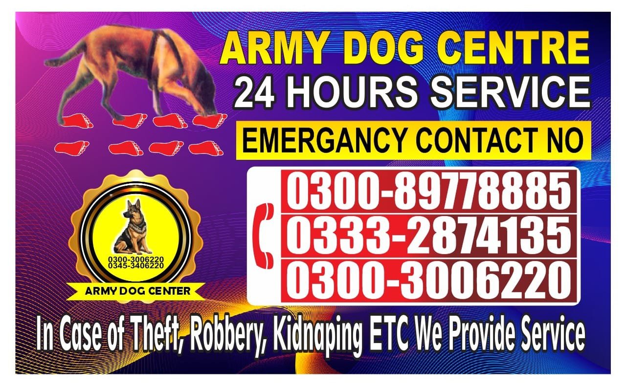 Professional Army Dog Center Mehar - Trained German Shepherd for Security Services