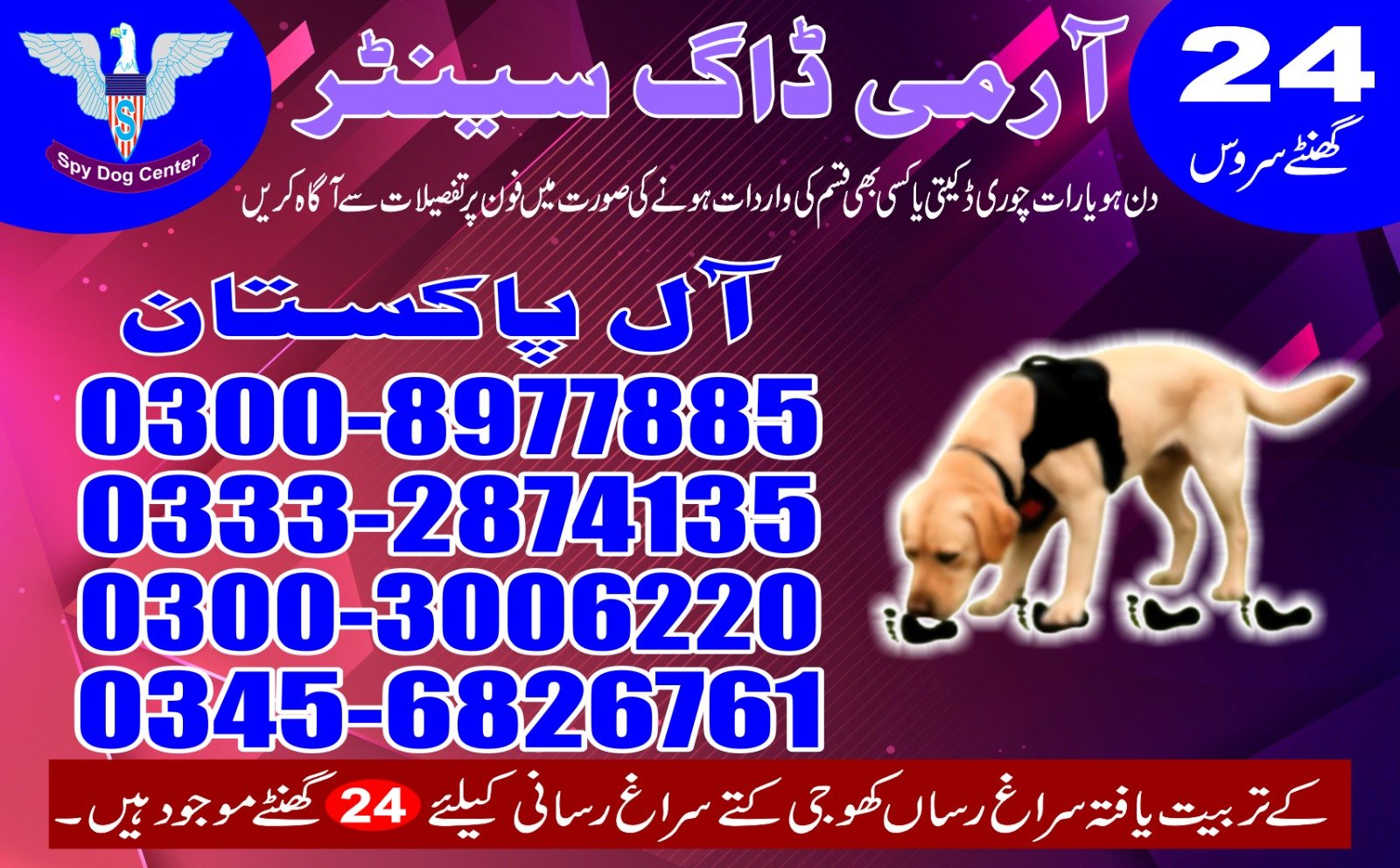 Professional Army Dog Center Mirpur Khas - Trained German Shepherd for Security Services