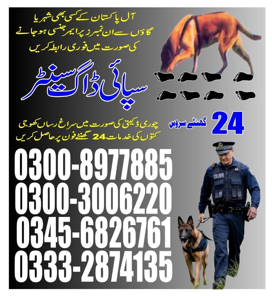 Professional Army Dog Center Murree - Trained German Shepherd for Security Services