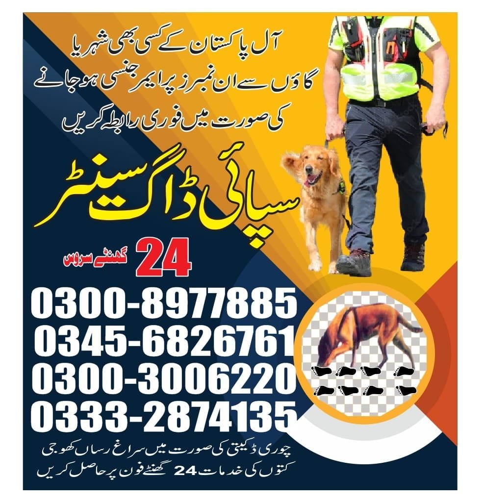 Professional Army Dog Center Naudero - Trained German Shepherd for Security Services