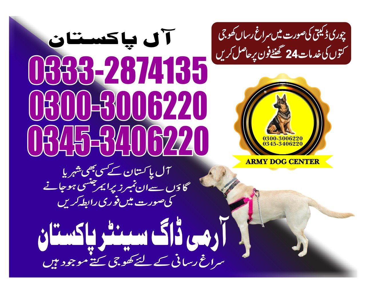 Professional Army Dog Center Pano Aqil - Trained German Shepherd for Security Services
