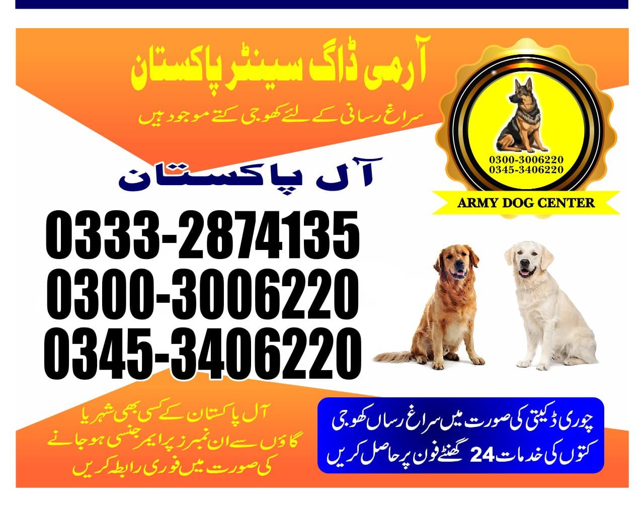 Professional Army Dog Center Rahim Yar Khan - Trained German Shepherd for Security Services