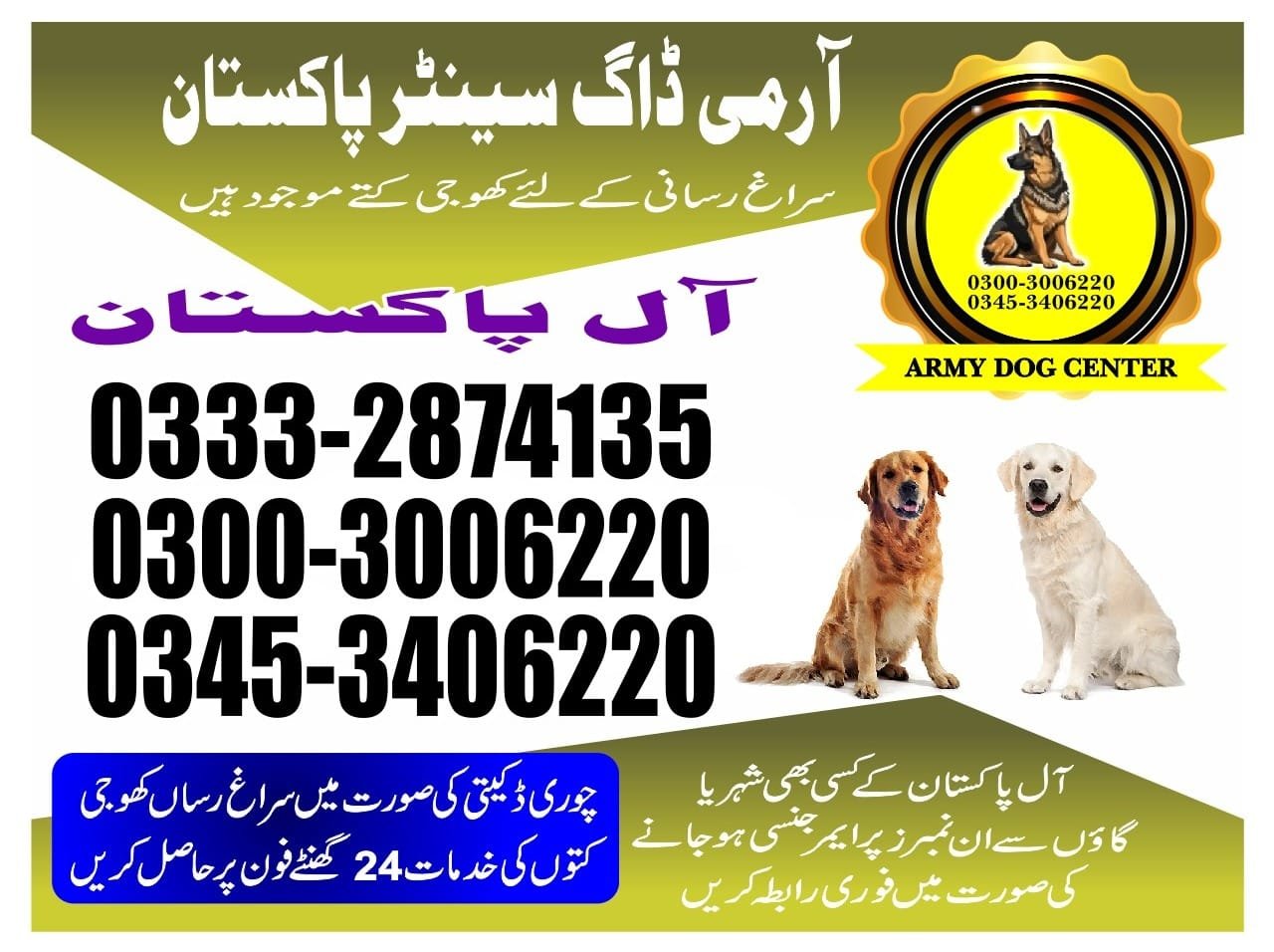 Professional Army Dog Center Rahwali Cantt - Trained German Shepherd for Security Services